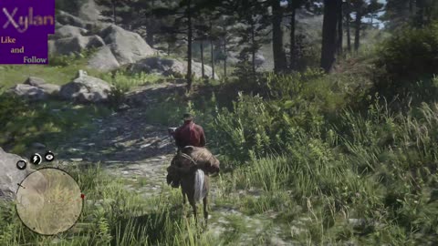 Red Dead Redemption II "Storyline"