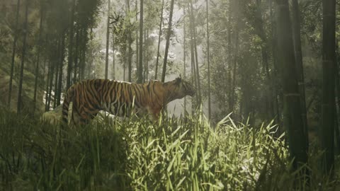 You Won't Believe What Happens When You Let a Little Tiger Roam Free