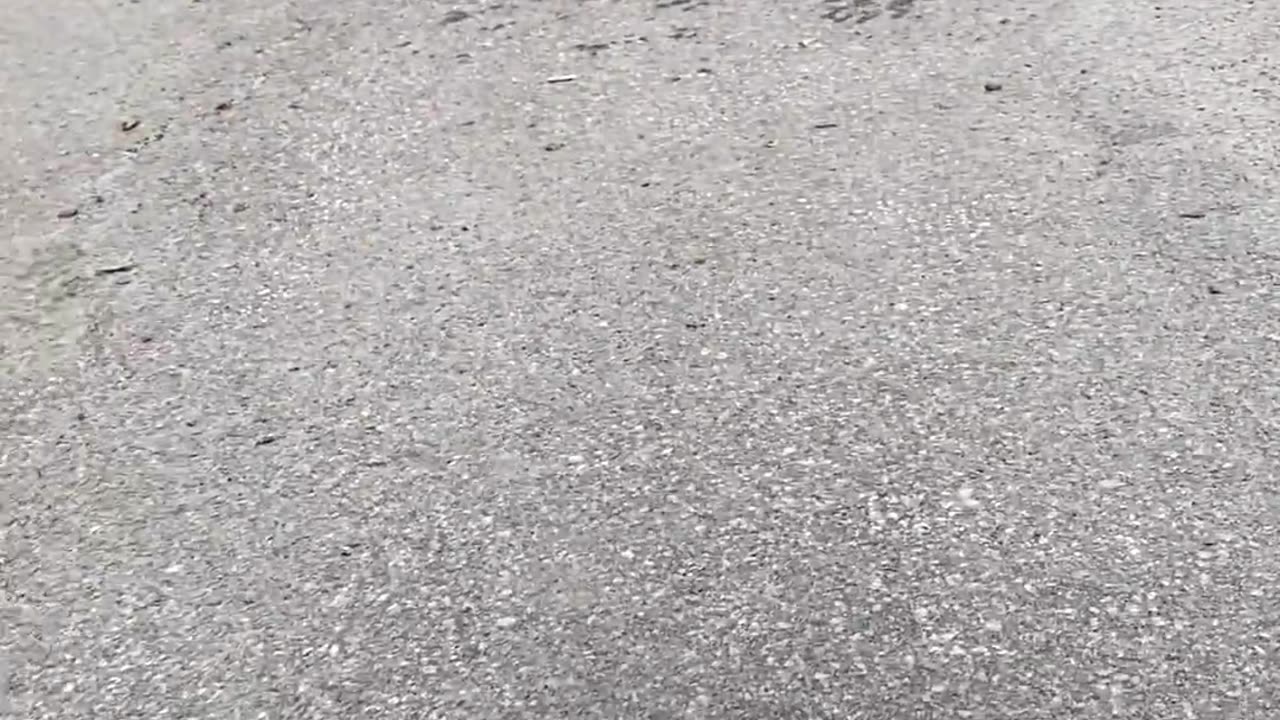 🤣🛹 Wait For The Epic Skatepark Cruise Fail! | FunFM