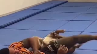 🤣🐶 This Dog's Wrestling Skills Will Blow Your Mind! | FunFM