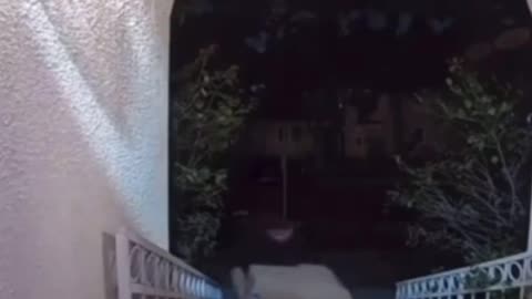 Funny comedy video🤠 🤣🤣🤡