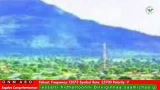 Oduu Galgala ONM-ABO Sadaasa 24-2025 itti dhiyaadhaa!