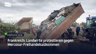 Frankreich: Landwirte protestieren gegen Mercosur-Freihandelsabkommen