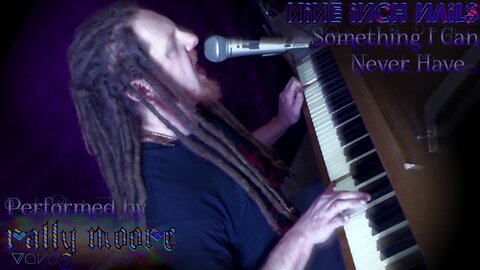 Nine Inch Nails - Something I Can Never Have [cover by rally moore]
