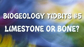 BIOGEOLOGY TIDBITS #5 - LIMESTONE OR BONE?
