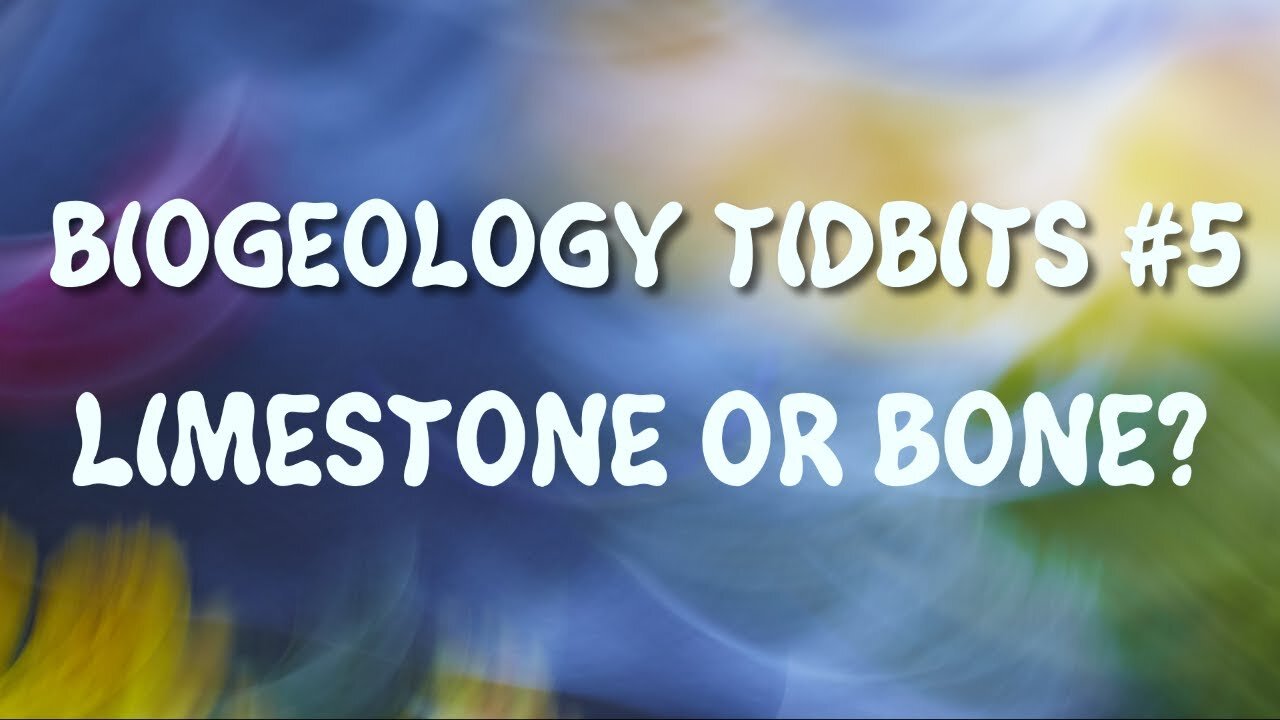 BIOGEOLOGY TIDBITS #5 - LIMESTONE OR BONE?