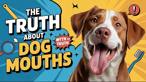 The Truth About Dog Mouths #TruthAboutDogMouths #DogMouthFacts #DogOralHealth