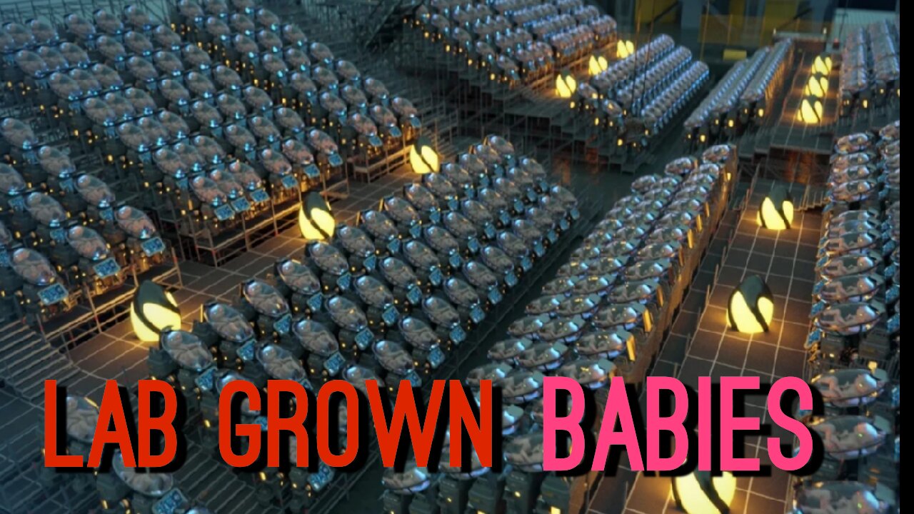 Lab Grown Babies Are Here
