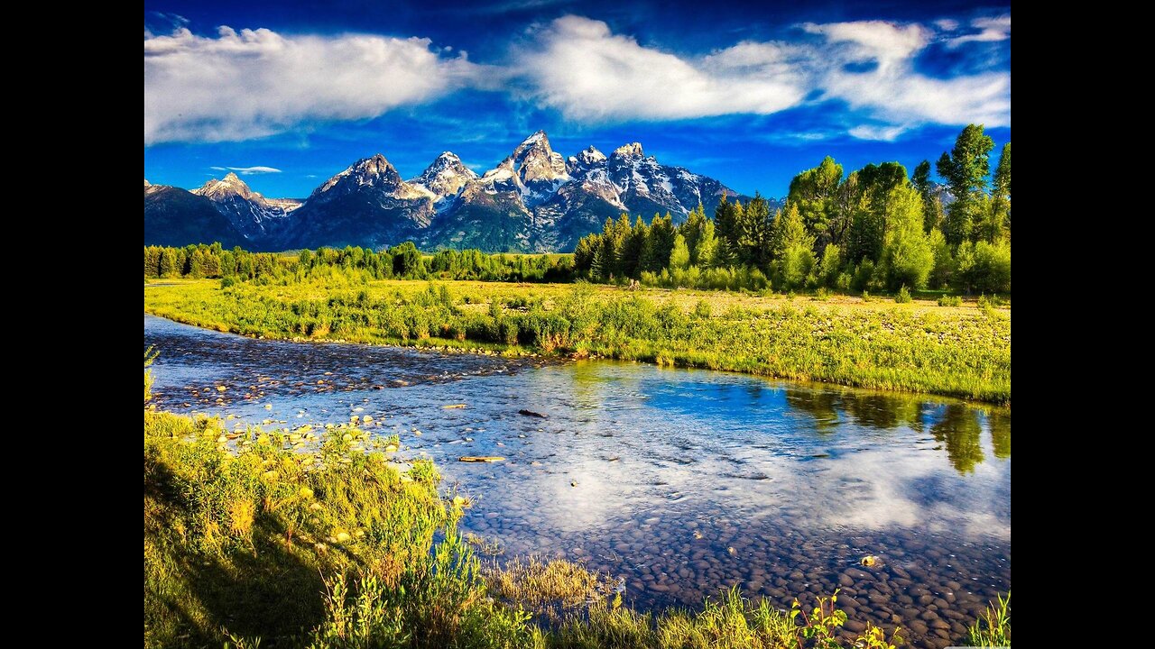 KJ's What Happened? (1/24/26)