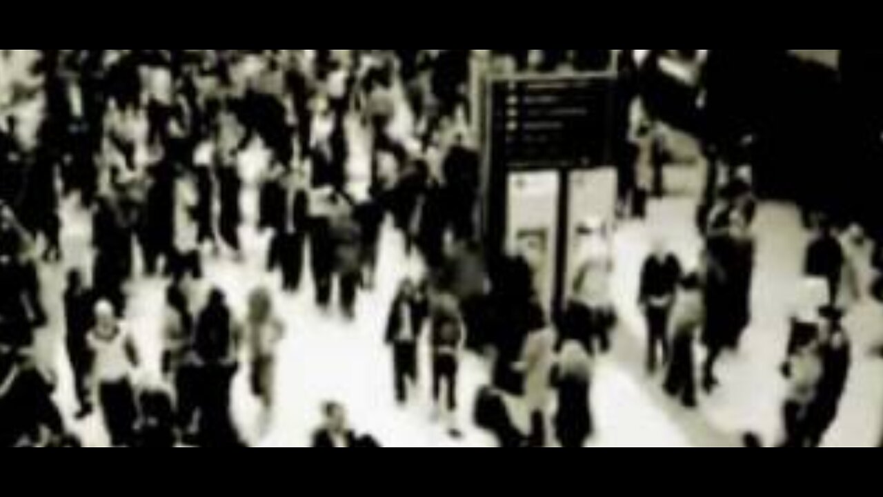 ZOMBIES ARE REAL ( circle 2009 )