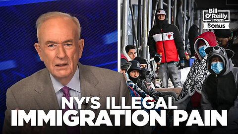 📌Bill O'Reilly on New York's Illegal Immigration Pain