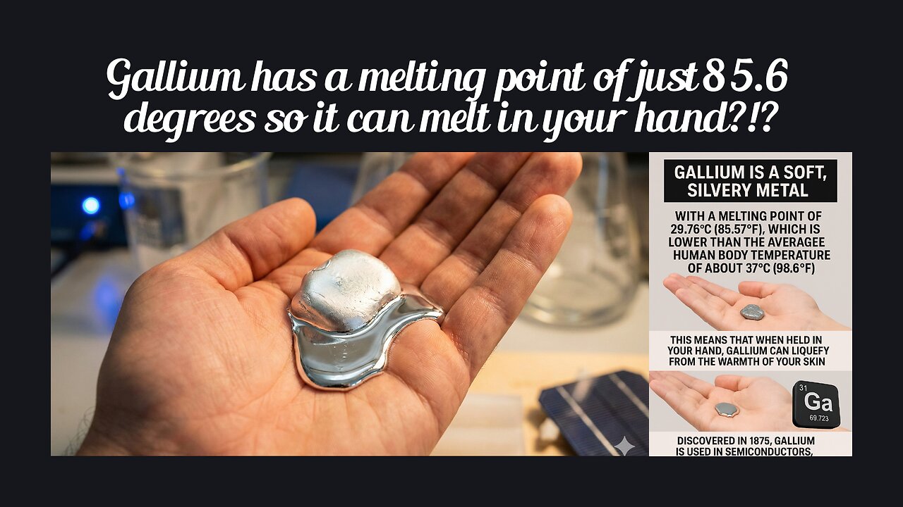 Fun Fact for Dec 8th 2025