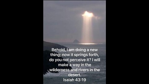 PROPHETIC INSIGHT 1.10.25