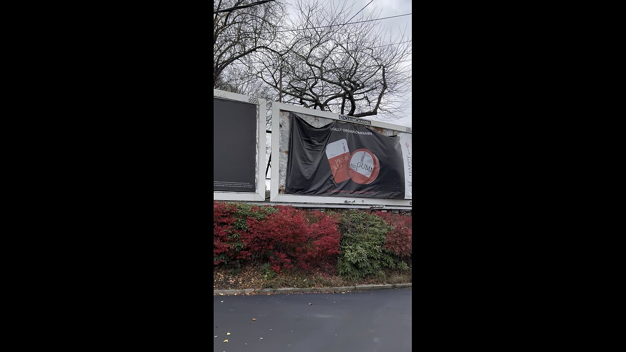 First snow of the season!