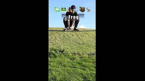 How Animals Get Over a Fence 😂