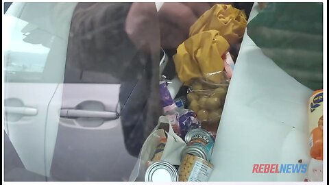 What do you think of Greta Thunbergs plastic garbage filled Tesla 2019