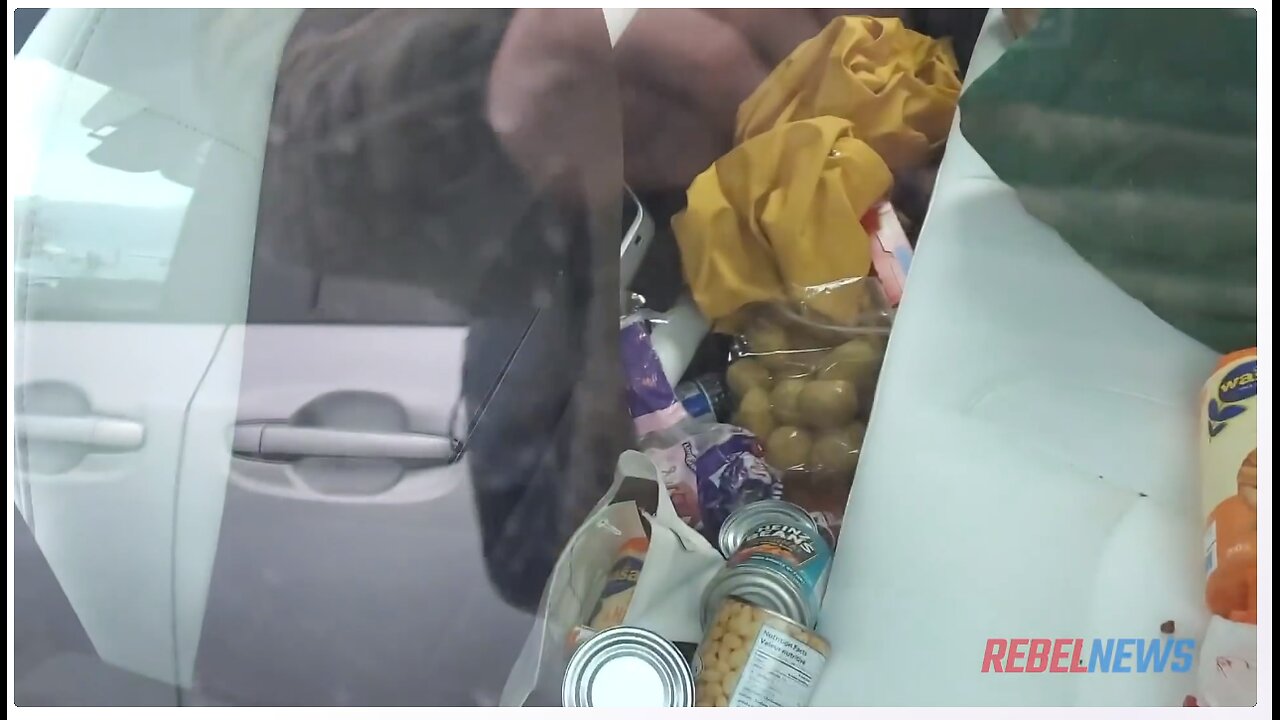 What do you think of Greta Thunbergs plastic garbage filled Tesla 2019