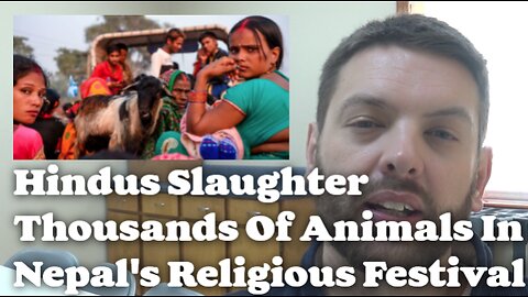 Hindus Slaughter Thousands Of Animals In Nepal's Religious Festival