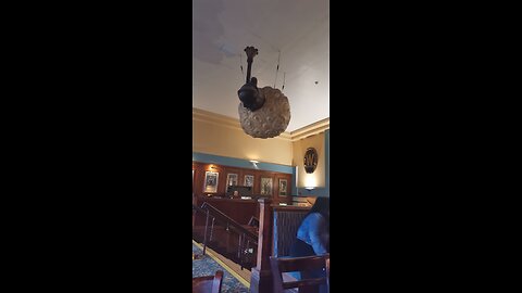 At home waiting its cold