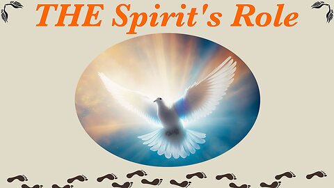 THE Spirit’s Role / WWY L80