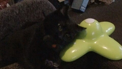 Kotě Žužu a Motýl {CZ}