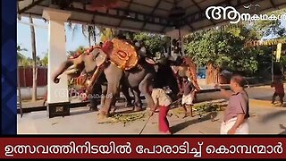 ഉത്സവത്തിനിടയിൽ ആനകൾ ഏറ്റുമുട്ടി _ Elephants fight each other in kerala temple