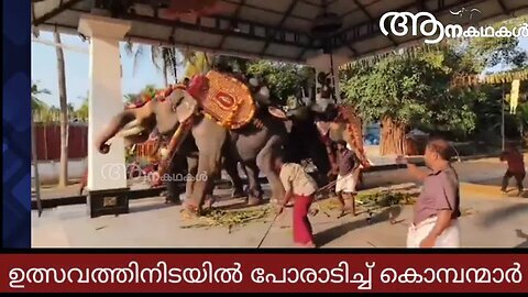 ഉത്സവത്തിനിടയിൽ ആനകൾ ഏറ്റുമുട്ടി _ Elephants fight each other in kerala temple