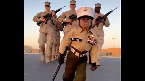 CORPORAL MONKEY 🐒 MILITARY HUMOR