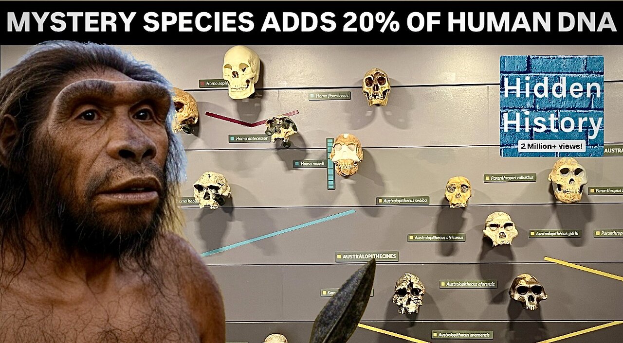 Mystery species contributed 20% of ancient human DNA