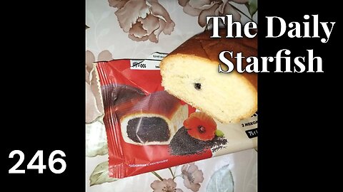 The Daily Starfish #246 #viral #news #shorts