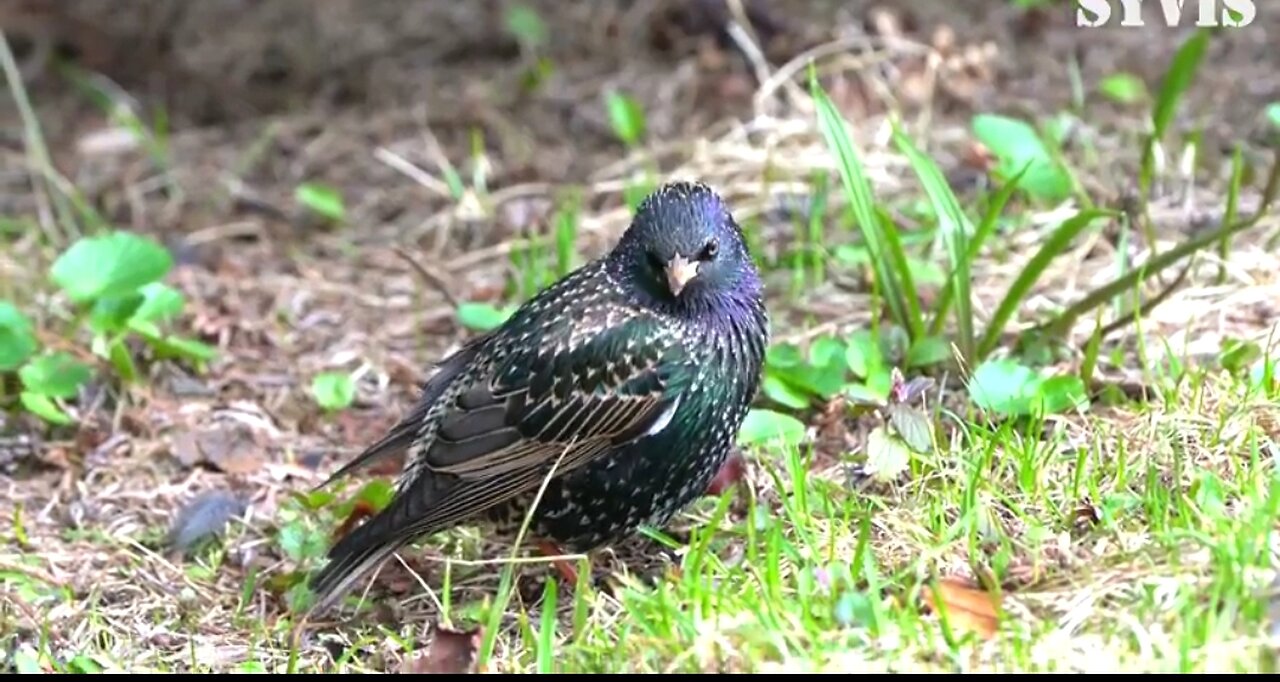 REMEMBERING GOD’S GOODNESS - DAILY DEVOTIONAL ❤️