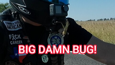BIG DAMN BUG!