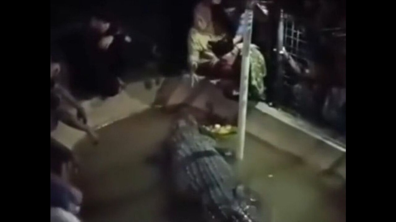 Grandfather In Indonesia Was Told It Was A Docile Crocodile, Found Out The Hard Way It's Not