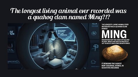 Fun Fact for Oct 11th 2025 Pt 2