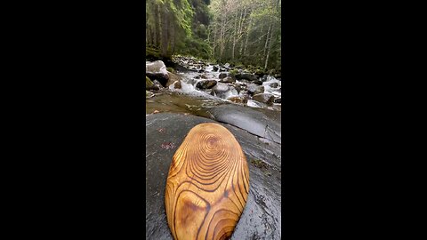 Fish baked in a salt crust Follow for more interesting videos