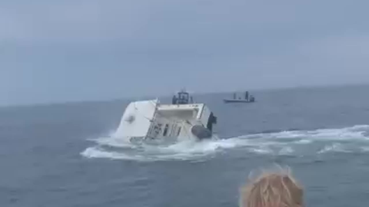 Whale nearly CAPSIZES boat!!!