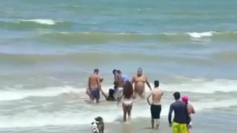 Teenager is attacked by Shark