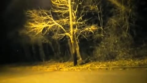 😱👽 The Scariest Strange Creature Videos Ever Recorded! | TheHauntingHour