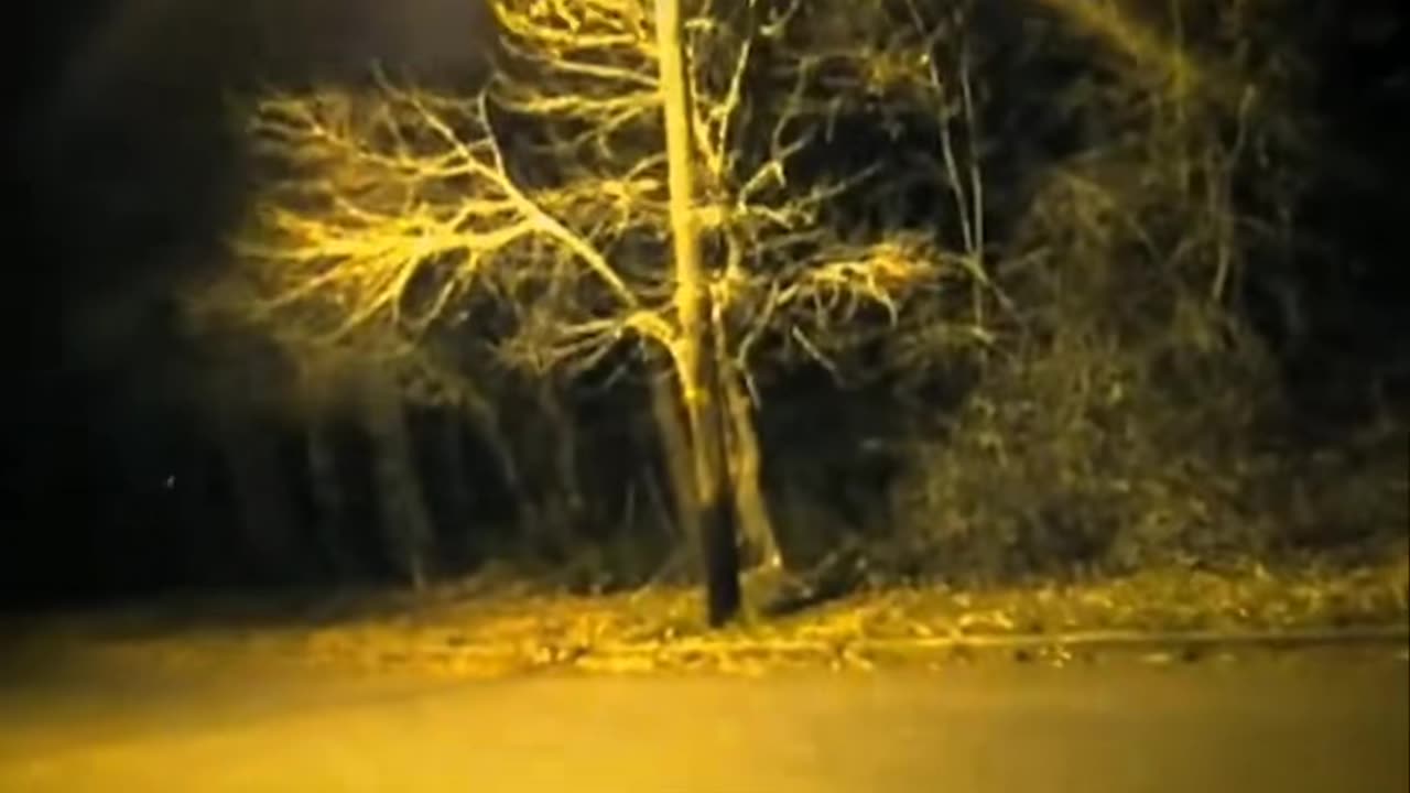 😱👽 The Scariest Strange Creature Videos Ever Recorded! | TheHauntingHour