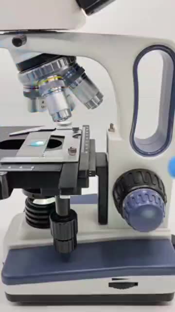 Toothpaste under a microscope 400 x Zoom