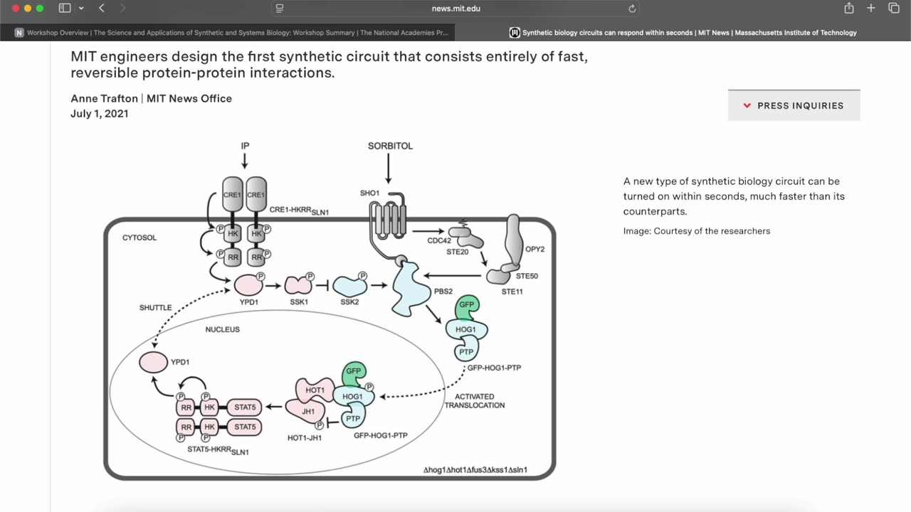EPISODE 60 - Synthetic Biology