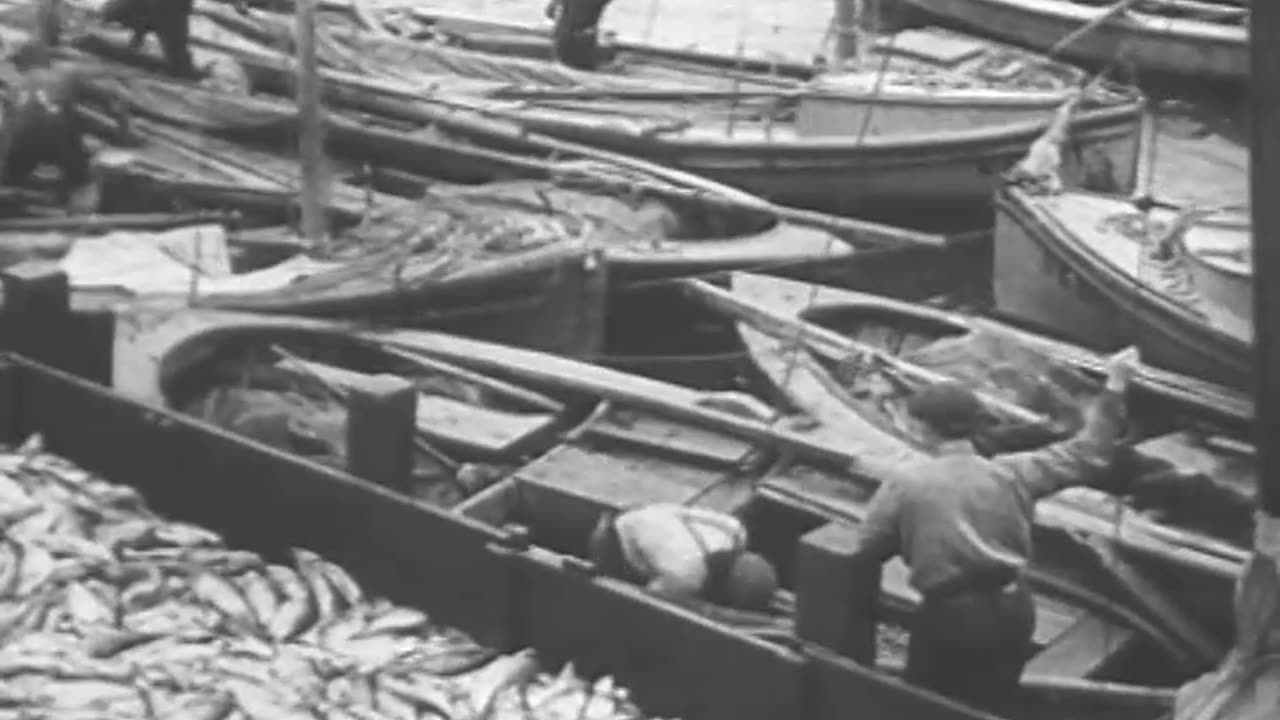 Hooping Up (Barrel ... - Hooping Up (Barrel Making), Part 2 Sweetness (Sugar Cane) Ne - fc-fc-231a-e