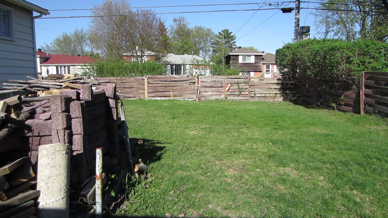 Random video of my old Dog Jojo & Princess