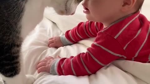 I got my cat to meet my baby boy and this happened