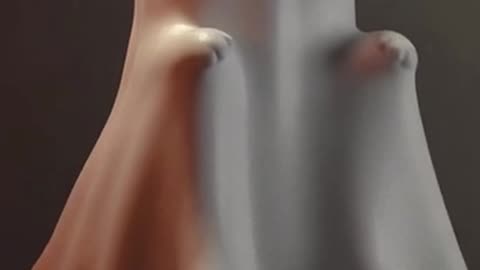 Levitating Paws #halloween #helpmemakethismakesense #onlinestoreproducts #cutecats #kitty #kwai #cat