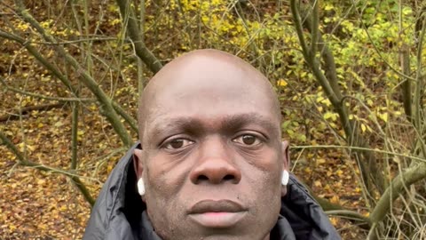 don't know who needs to hear this, but don't be disturbed, remain undisturbed.