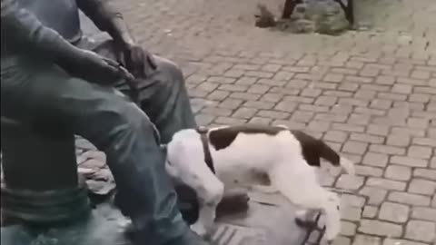 Funny animals 2023😆