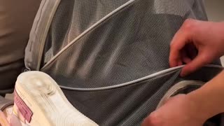 POV: You're a cat living your best life in the magic pants 😼💼