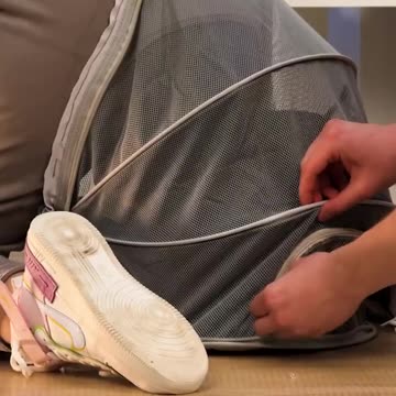 POV: You're a cat living your best life in the magic pants 😼💼