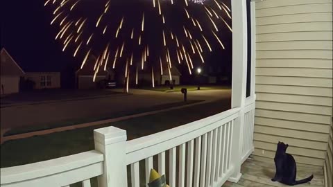 feliz 2026 gatuno_BuriBuri's Journey